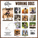 2024 Our Australia Working Dogs Calendar alternate 3