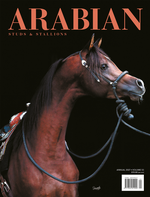 Arabian Studs and Stallions