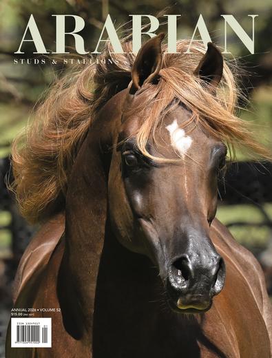Arabian Studs and Stallions cover
