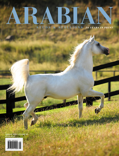 Arabian Studs and Stallions cover