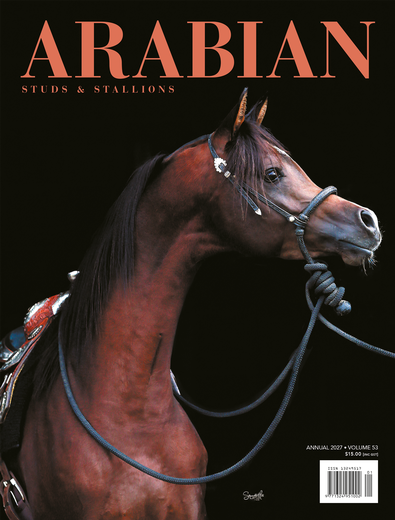 Arabian Studs and Stallions cover