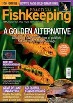 Practical Fishkeeping (UK)