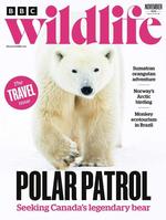 BBC Wildlife (UK)