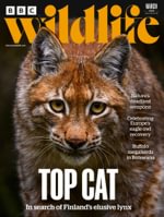 BBC Wildlife (UK)