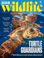 BBC Wildlife (UK)