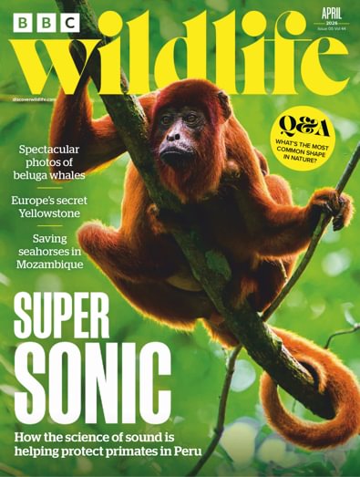 BBC Wildlife (UK) magazine cover
