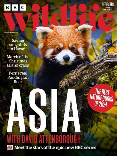 BBC Wildlife Uk magazine