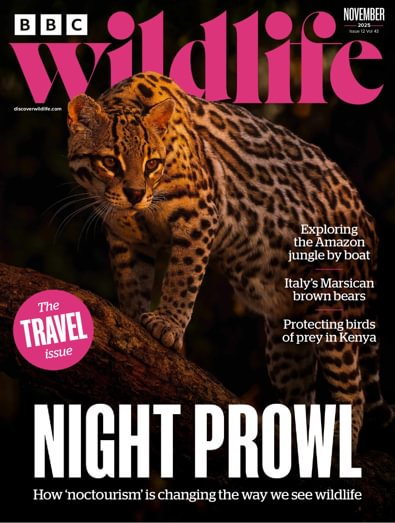 BBC Wildlife (UK) magazine cover