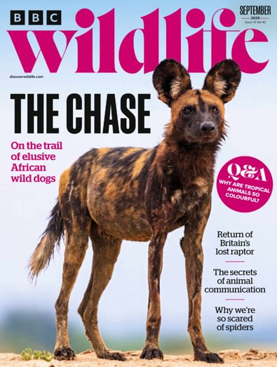 BBC Wildlife (UK) magazine cover