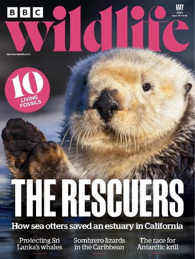 BBC Wildlife (UK) magazine cover