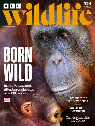BBC Wildlife (UK) magazine cover