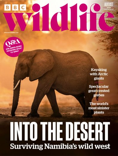 BBC Wildlife (UK) magazine cover