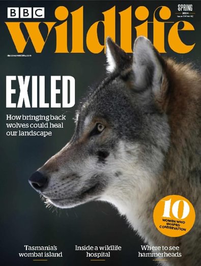 BBC Wildlife (UK) magazine cover