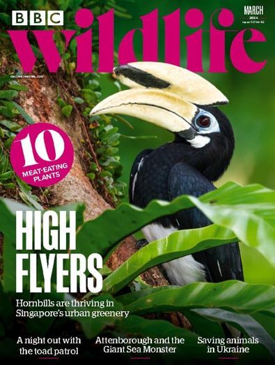 BBC Wildlife (UK) magazine cover
