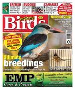 Cage and Aviary Birds (UK)