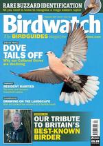 Birdwatch (UK)