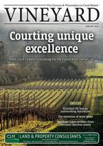 Vineyard (UK)