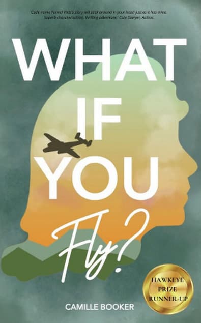 What If You Fly? cover