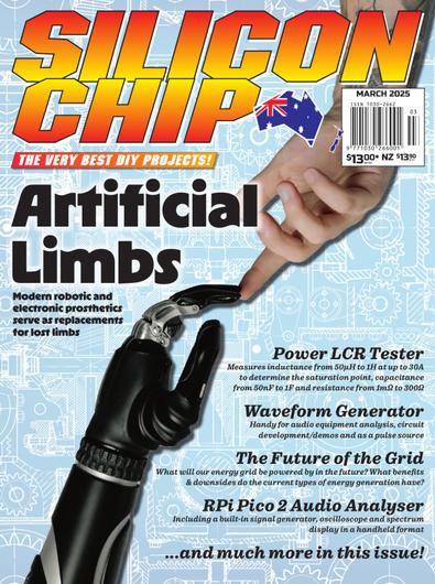Silicon Chip