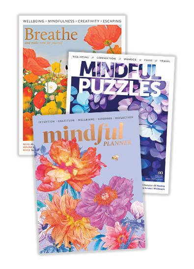 Mindfulness Bundle magazine cover