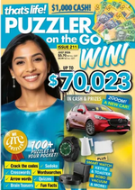That's Life Puzzler On The Go