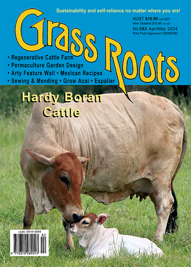 Grass Roots magazine cover