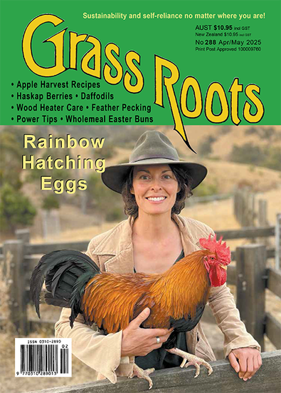 Grass Roots magazine cover