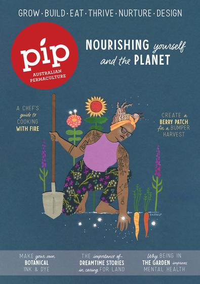 Pip Magazine cover