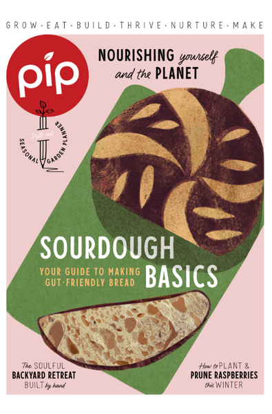 Pip Magazine cover