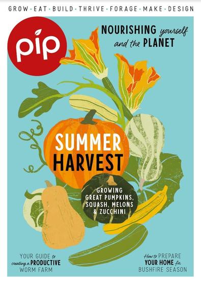 Pip Magazine cover