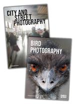 Bird Photography + City & Street Photography