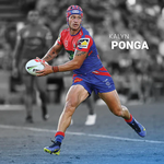 2024 NRL Newcastle Knights Calendar alternate 1