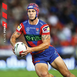 2026 NRL Newcastle Knights Calendar alternate 1
