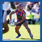 2027 NRL Newcastle Knights Calendar alternate 1