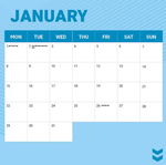 2024 NRL Cronulla Sharks Calendar alternate 2
