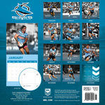 2024 NRL Cronulla Sharks Calendar alternate 3