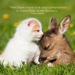 2027 Animal Friends Calendar alternate 1