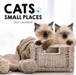 2024 Cats in Small Places Calendar thumbnail