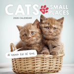 2026 Cats in Small Places Calendar thumbnail