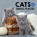 2027 Cats in Small Places Calendar