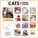 2024 Cats in Small Places Calendar alternate 3