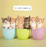 2026 Cats in Small Places Calendar alternate 1