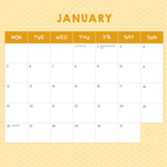 2026 Cats in Small Places Calendar alternate 2