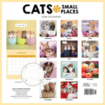 2026 Cats in Small Places Calendar alternate 3
