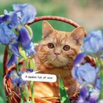 2027 Cats in Small Places Calendar alternate 1