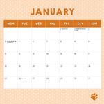2027 Cats in Small Places Calendar alternate 2