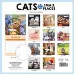 2027 Cats in Small Places Calendar alternate 3