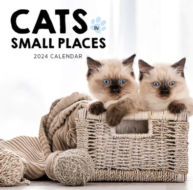 2024 Cats in Small Places Calendar cover