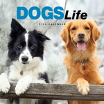 2024 Dogs Life Calendar thumbnail