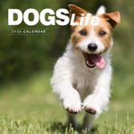 2026 Dogs Life Calendar thumbnail